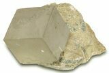 Natural Pyrite Cube In Rock - Navajun, Spain #304054-1